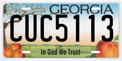 GA license plate CUC5113