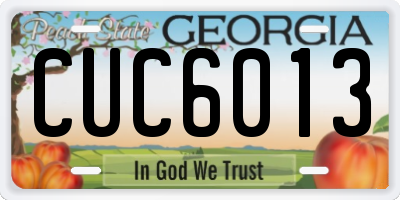 GA license plate CUC6013