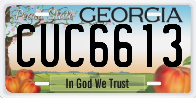 GA license plate CUC6613