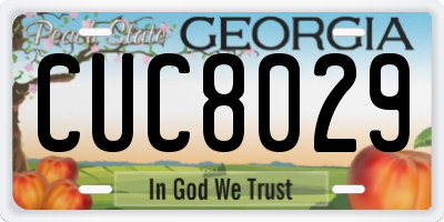 GA license plate CUC8029