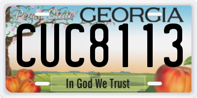 GA license plate CUC8113