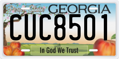 GA license plate CUC8501