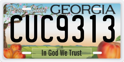 GA license plate CUC9313