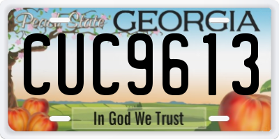 GA license plate CUC9613