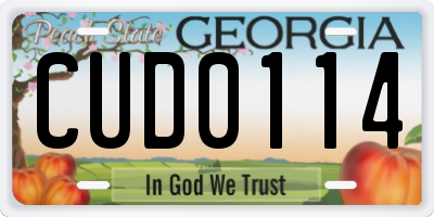 GA license plate CUD0114