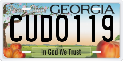 GA license plate CUD0119