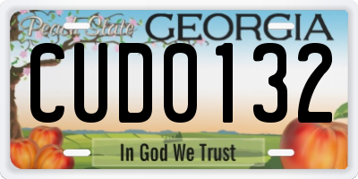 GA license plate CUD0132