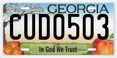 GA license plate CUD0503