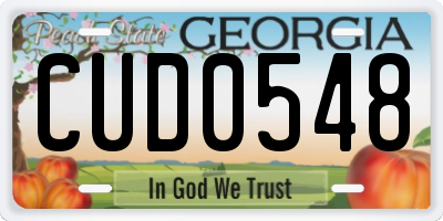 GA license plate CUD0548