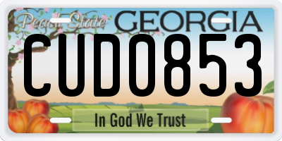 GA license plate CUD0853