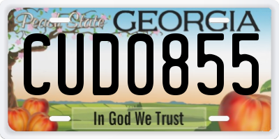 GA license plate CUD0855