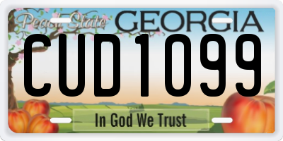 GA license plate CUD1099