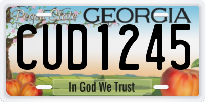 GA license plate CUD1245