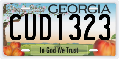 GA license plate CUD1323