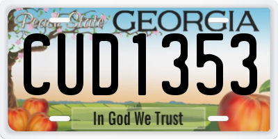 GA license plate CUD1353