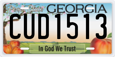 GA license plate CUD1513