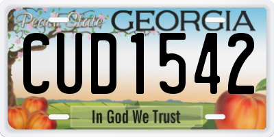 GA license plate CUD1542