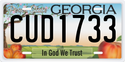 GA license plate CUD1733