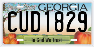 GA license plate CUD1829