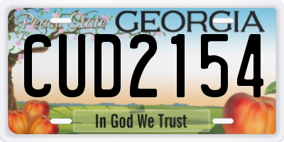 GA license plate CUD2154