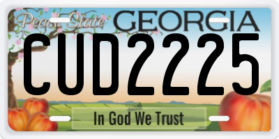 GA license plate CUD2225