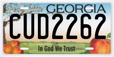 GA license plate CUD2262