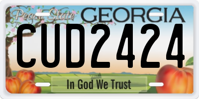 GA license plate CUD2424