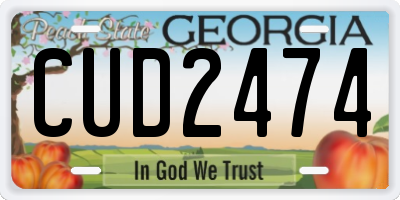 GA license plate CUD2474