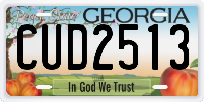 GA license plate CUD2513