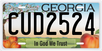 GA license plate CUD2524