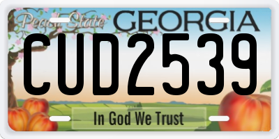 GA license plate CUD2539