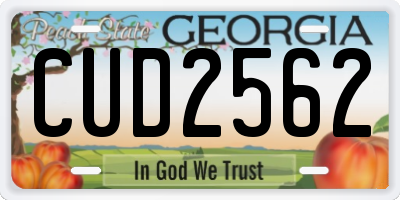 GA license plate CUD2562