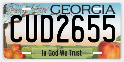 GA license plate CUD2655