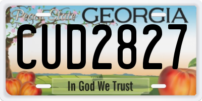 GA license plate CUD2827