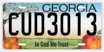 GA license plate CUD3013