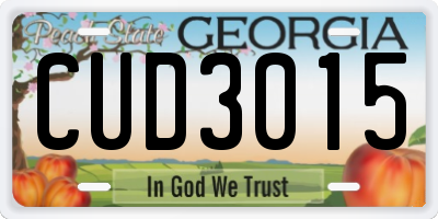 GA license plate CUD3015