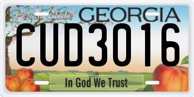 GA license plate CUD3016