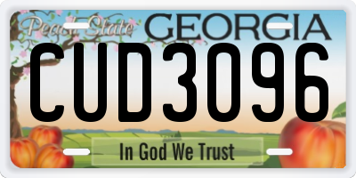 GA license plate CUD3096