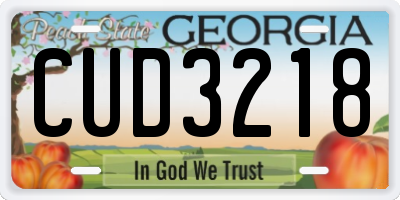 GA license plate CUD3218