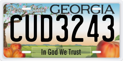 GA license plate CUD3243