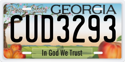 GA license plate CUD3293