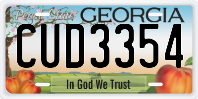 GA license plate CUD3354