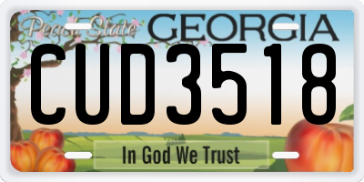 GA license plate CUD3518