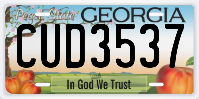 GA license plate CUD3537