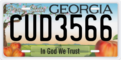 GA license plate CUD3566
