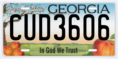 GA license plate CUD3606