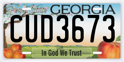 GA license plate CUD3673