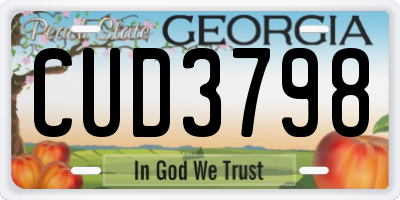 GA license plate CUD3798