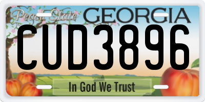 GA license plate CUD3896