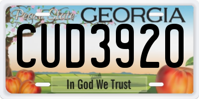 GA license plate CUD3920